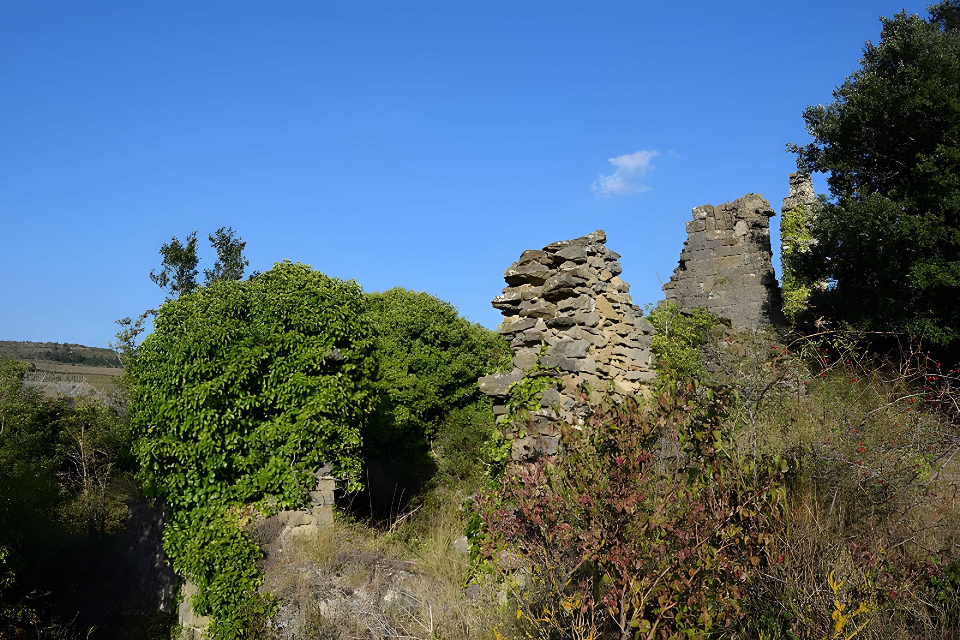 Château de Coustaussa