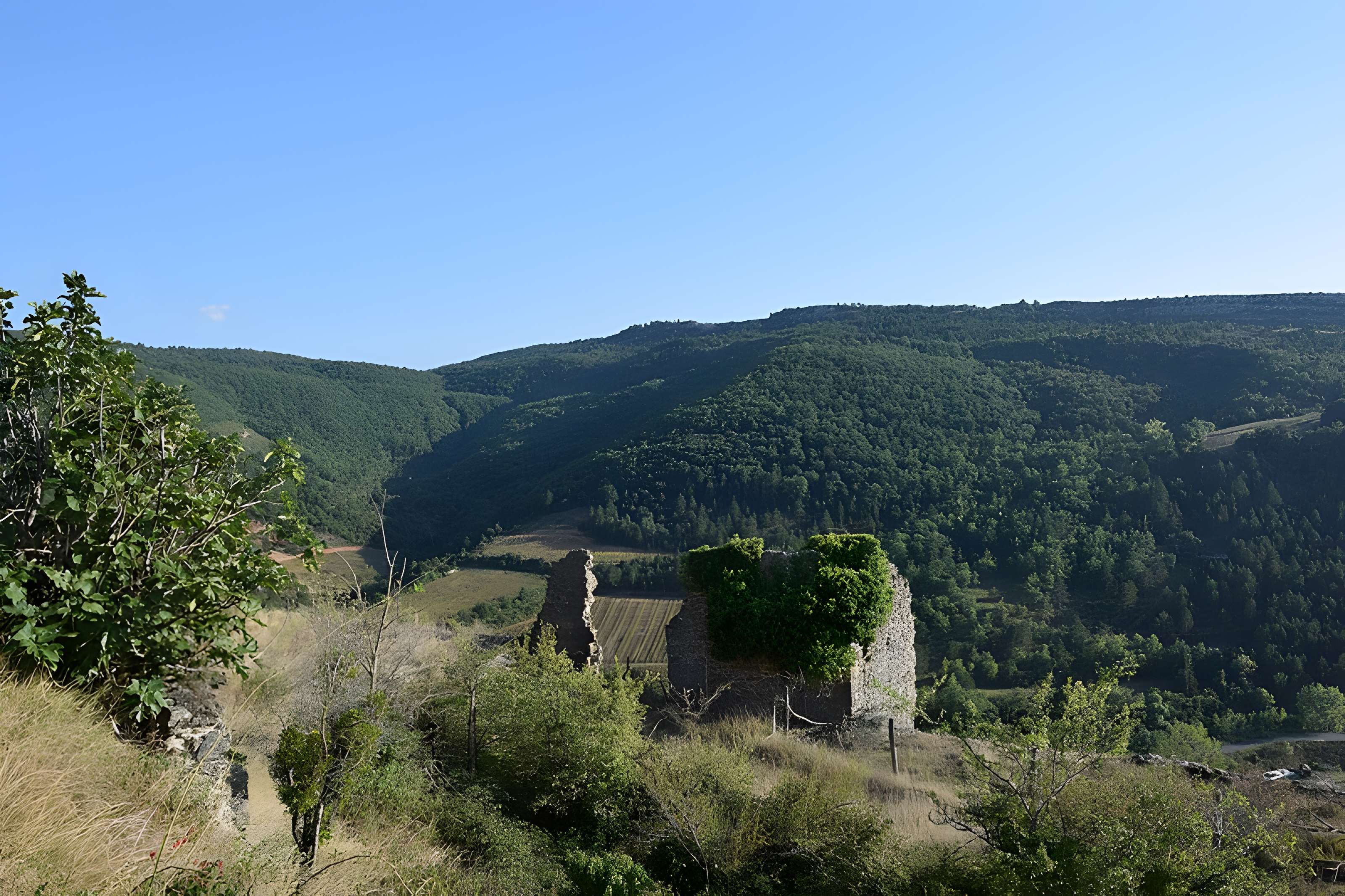 Château de Coustaussa