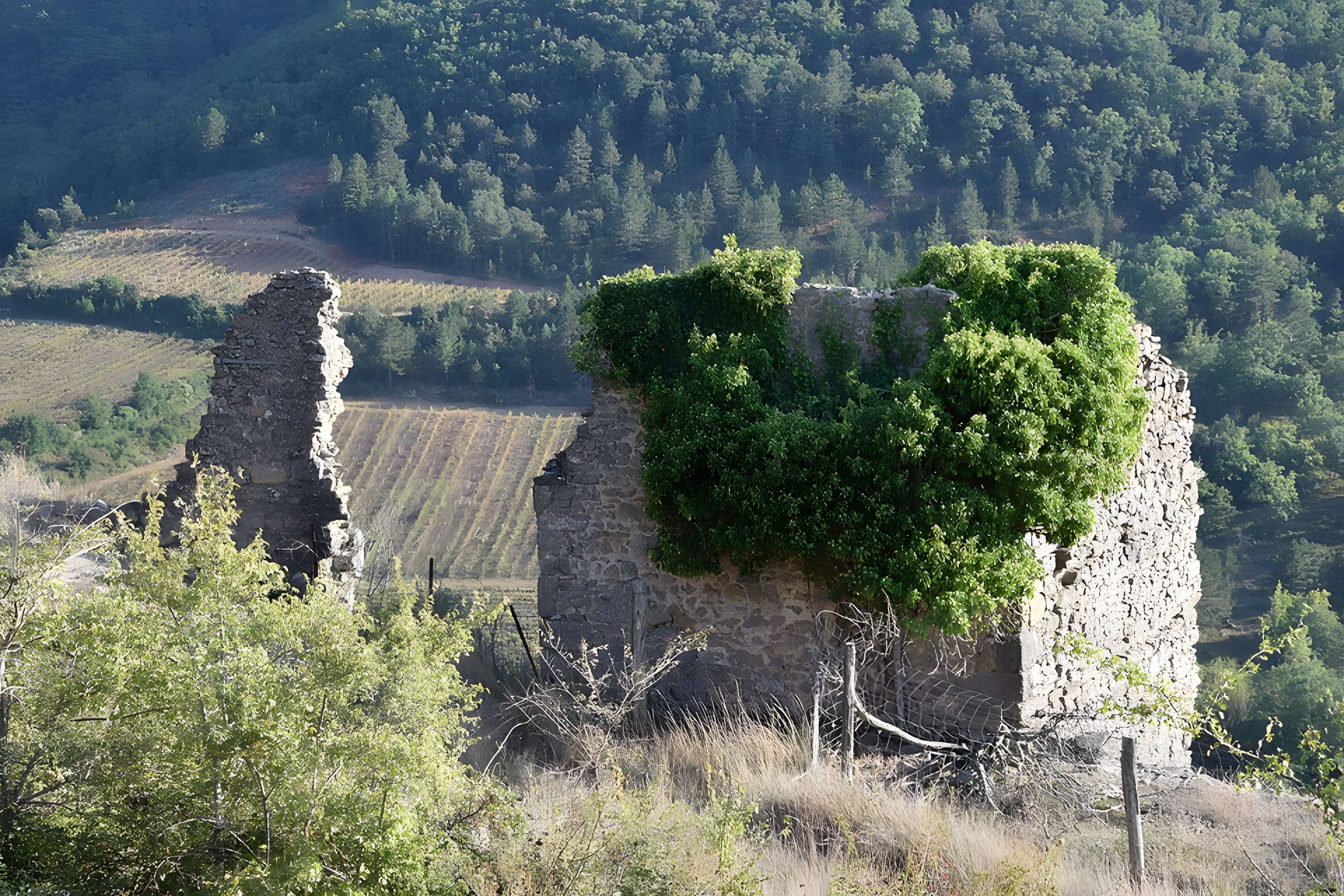 Château de Coustaussa