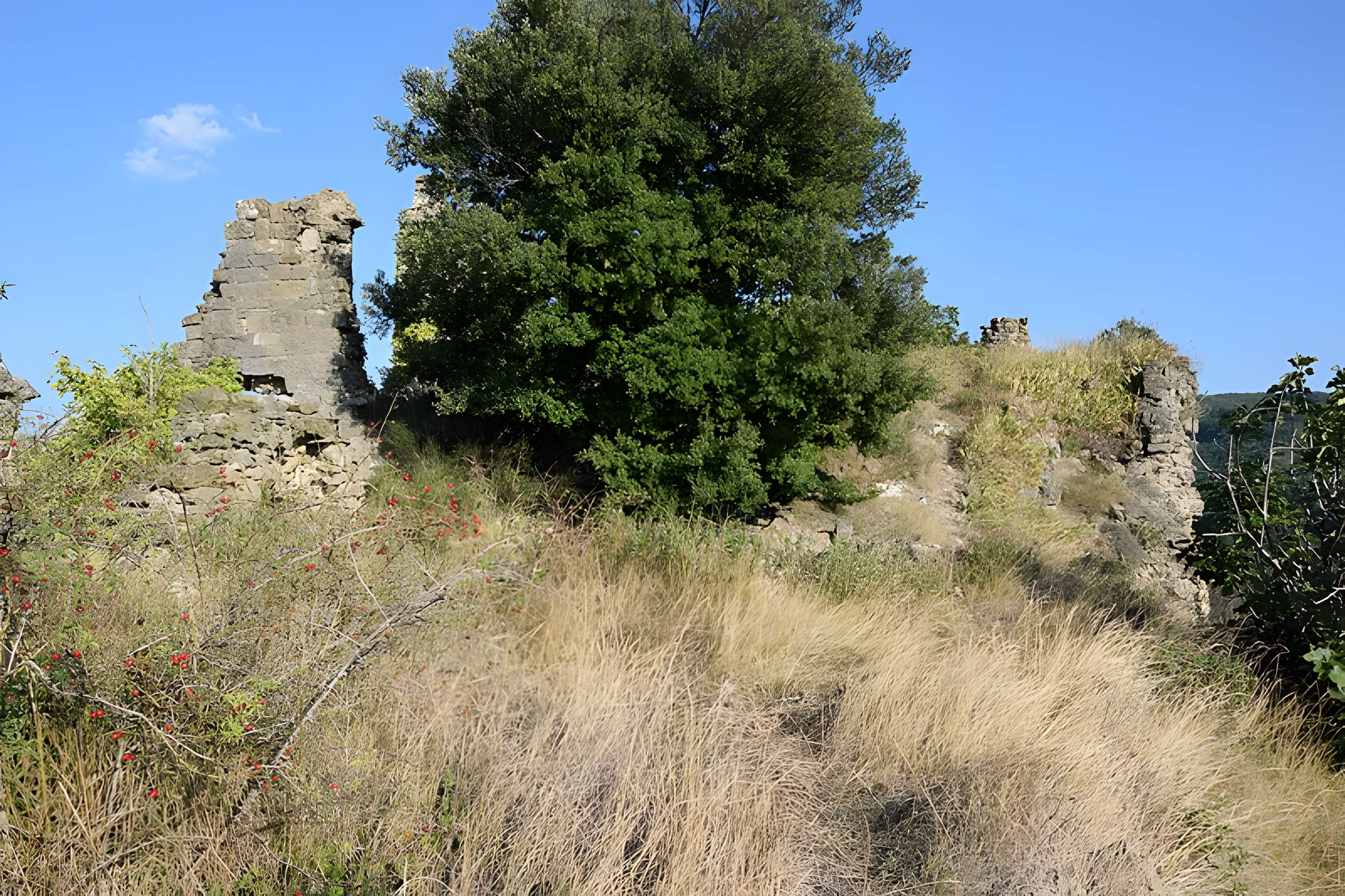Château de Coustaussa