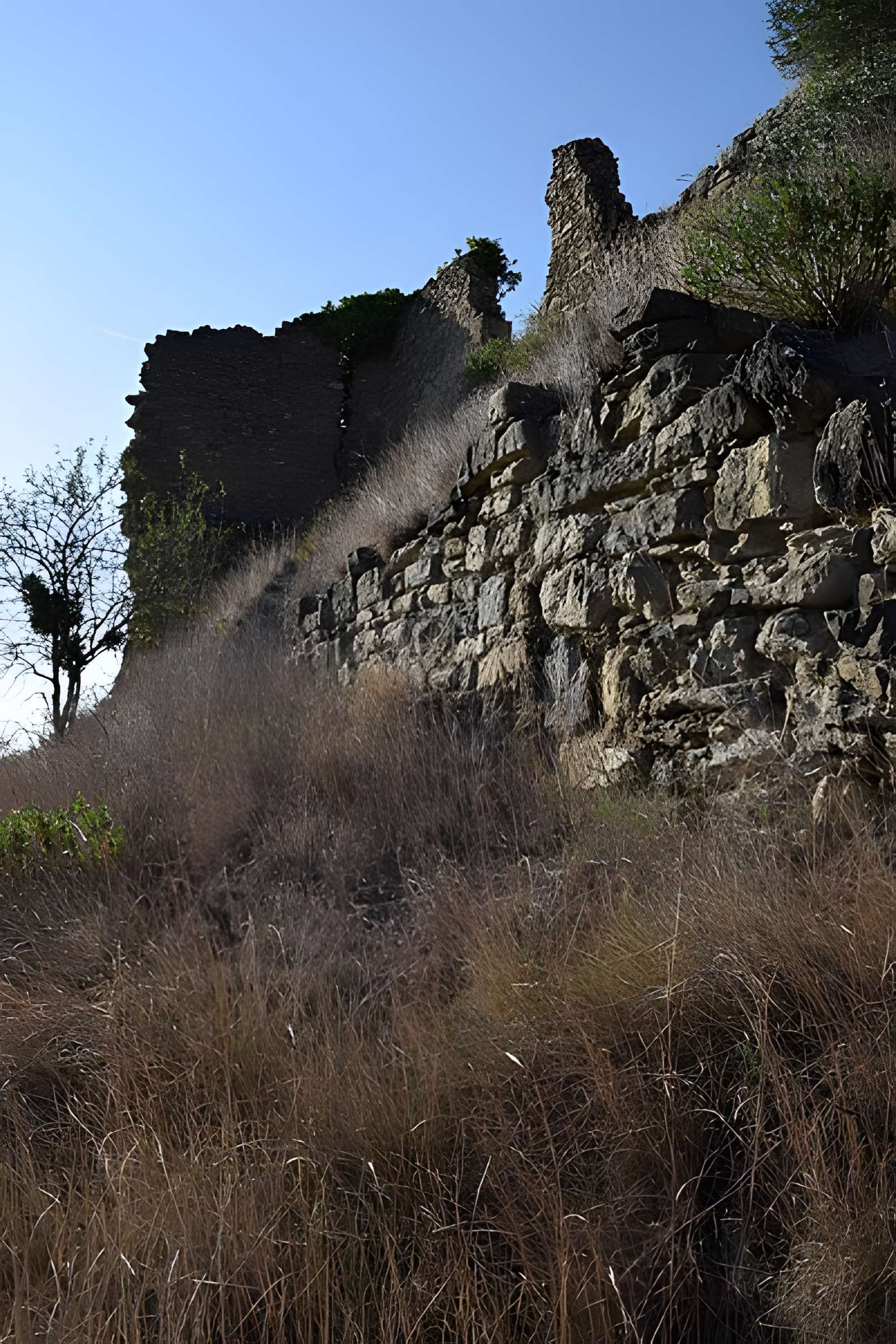 Château de Coustaussa