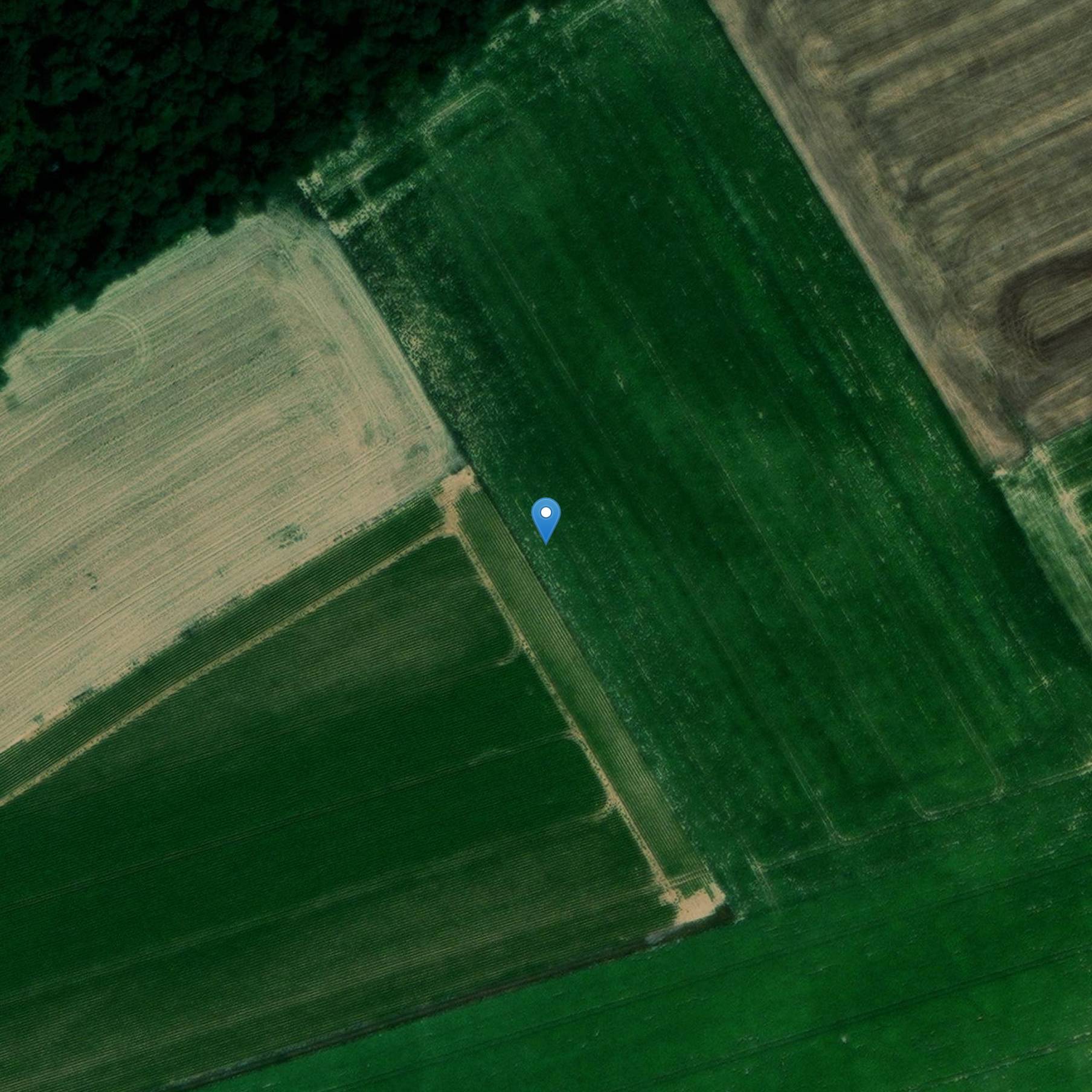 Photo de Monument commémoratif de l'ancienne assemblée du désert des Protestants