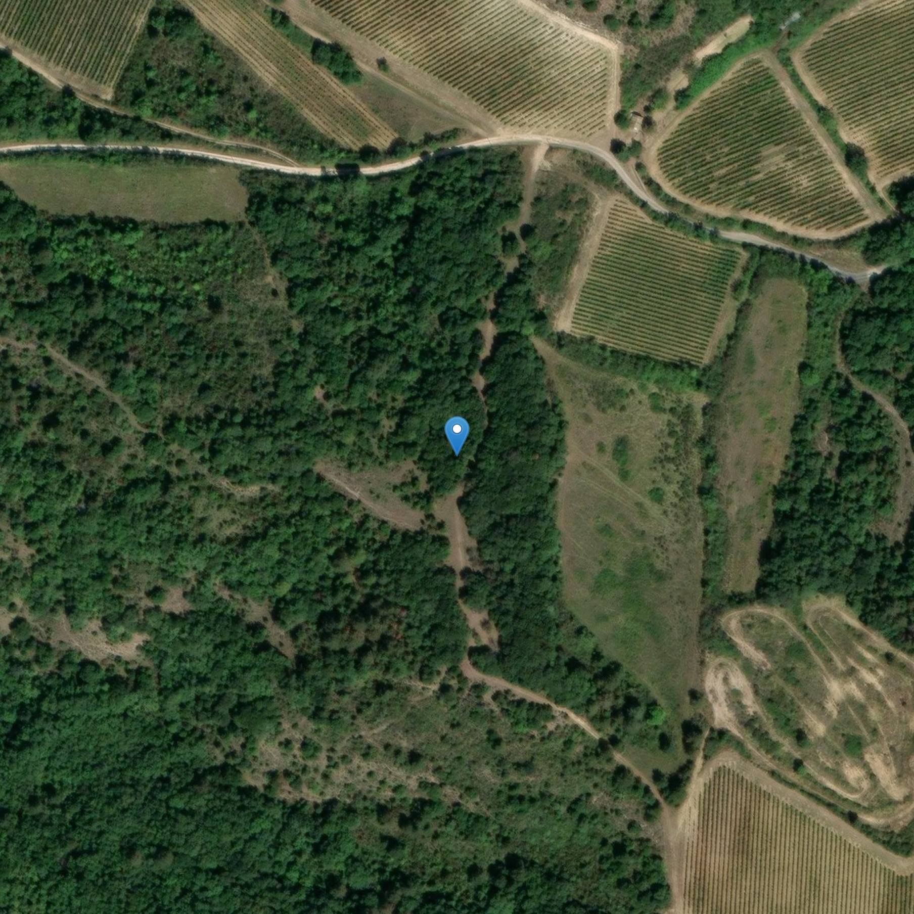 Photo de Monument funéraire gallo-romain à Villelongue-d'Aude