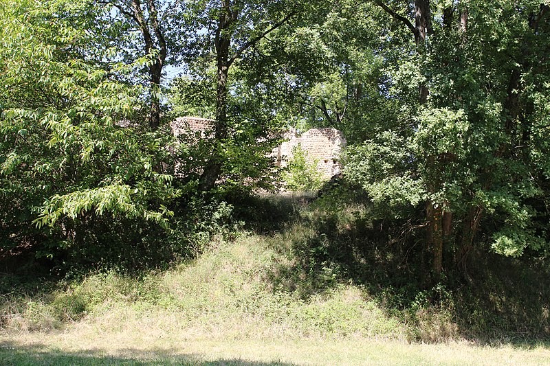 Photo de Motte castrale de Hagedet