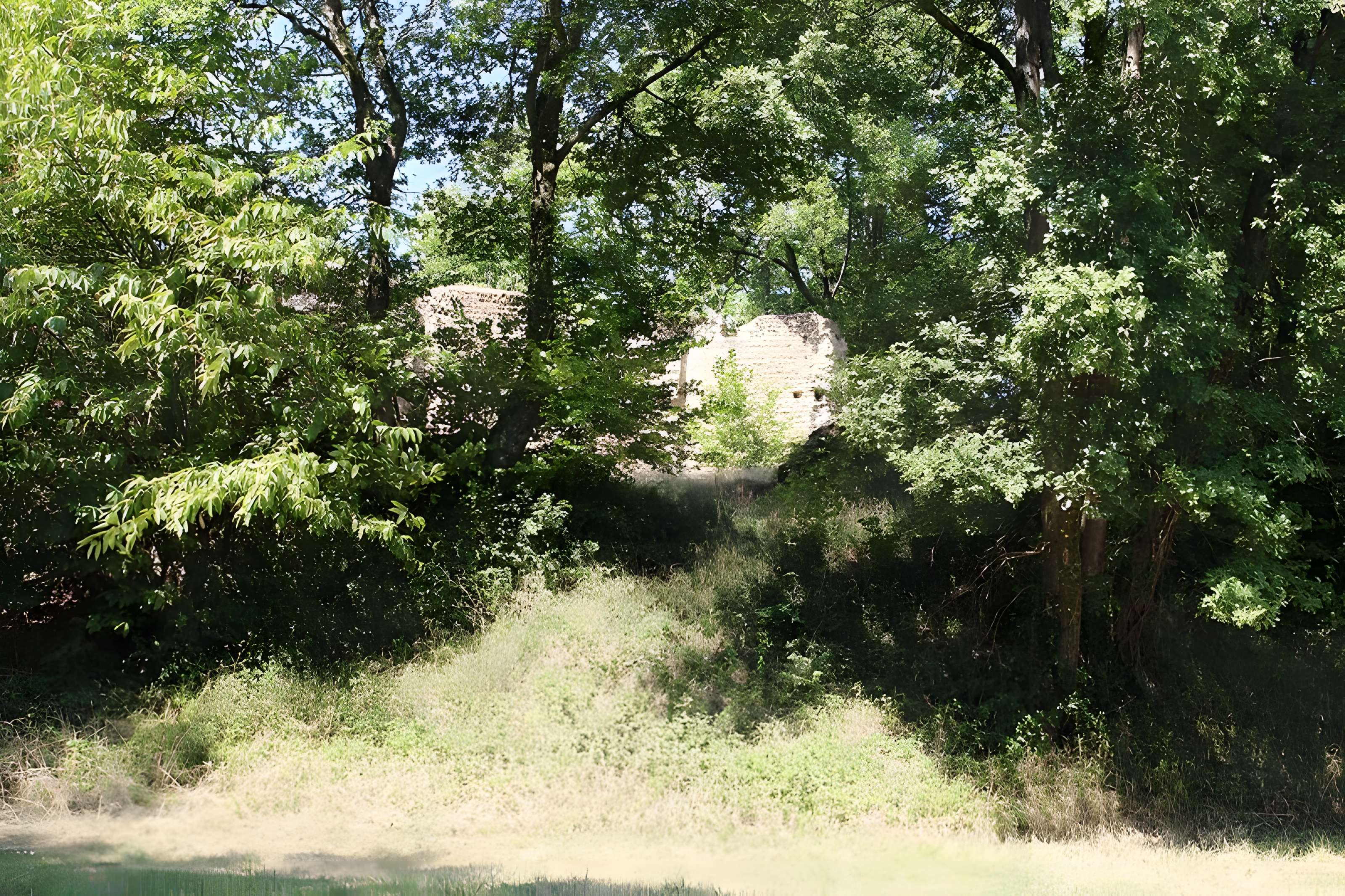 Motte castrale de Hagedet 