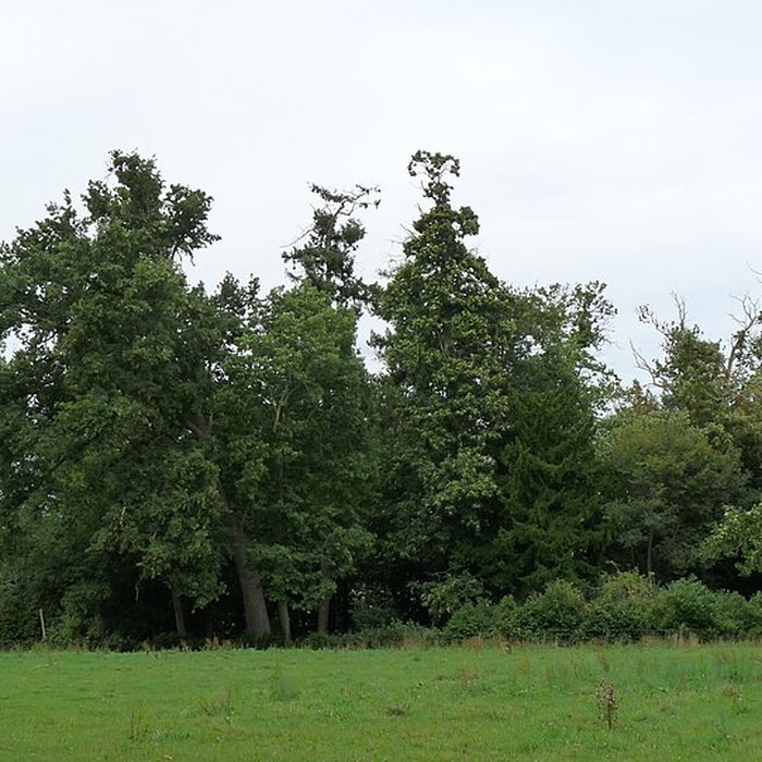 Photo de Château de Craon