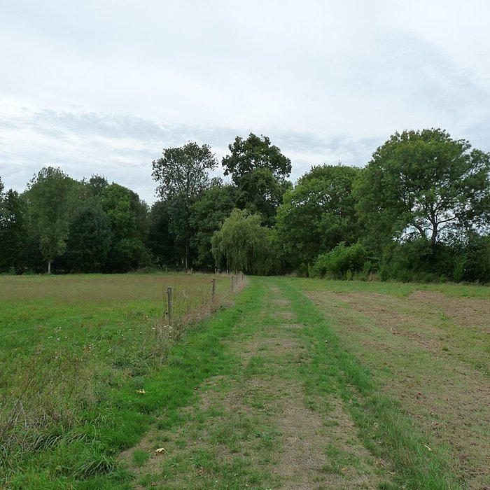 Photo de Château de Craon