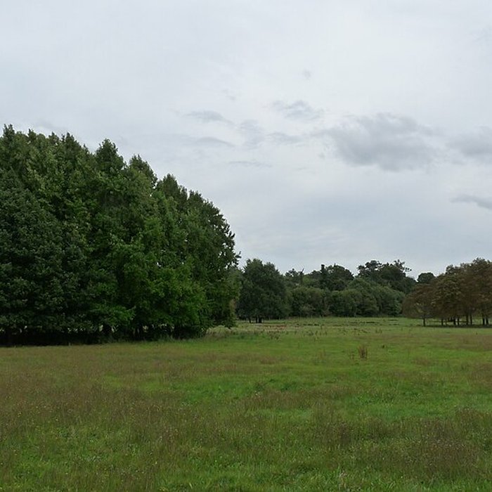 Photo de Château de Craon