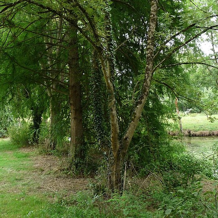 Photo de Château de Craon