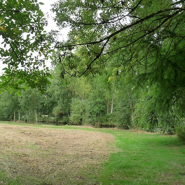 Photo de Château de Craon