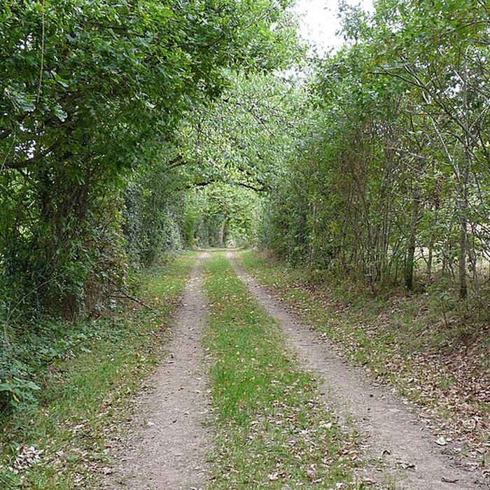 Photo de Château de Craon