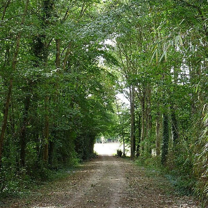 Photo de Château de Craon