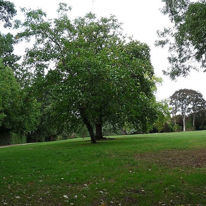 Photo de Château de Craon