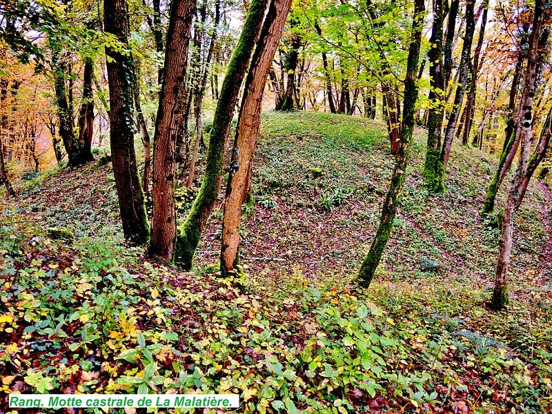 Photo de Motte castrale de la Malatière