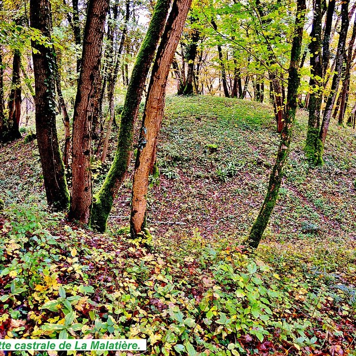 Photo de Motte castrale de  La Malatière