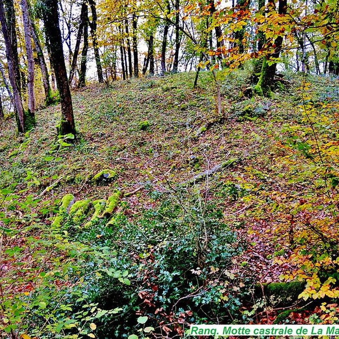 Photo de Motte castrale de  La Malatière