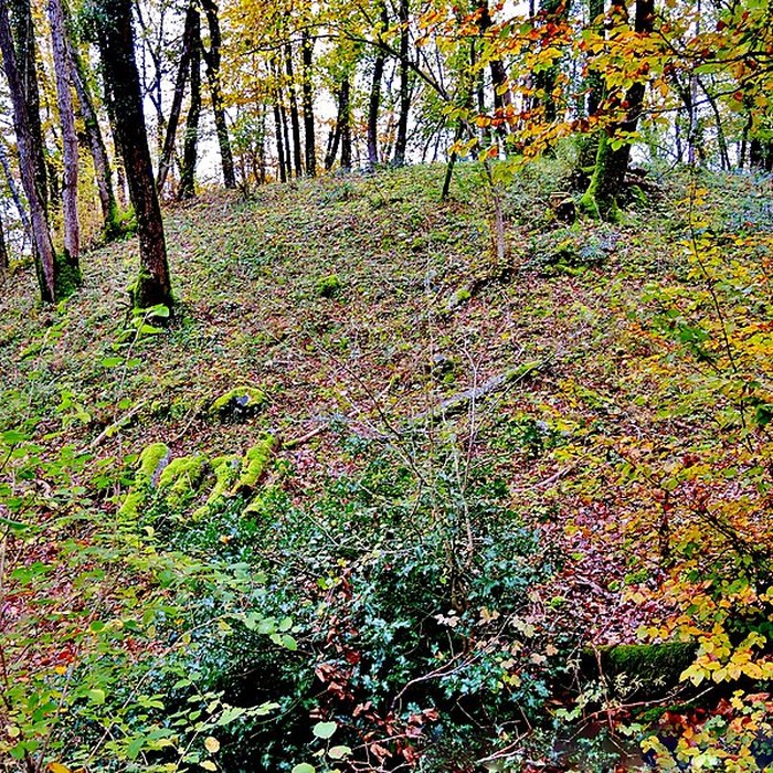 Photo de Motte castrale de  La Malatière
