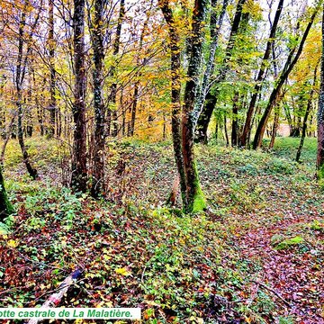 motte castrale de la malatiere