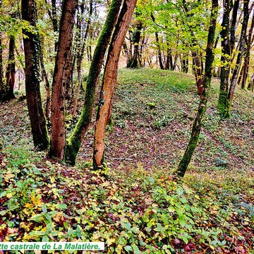 Motte castrale de  La Malatière