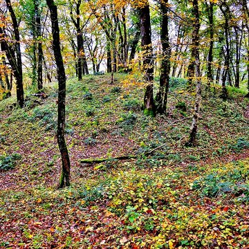 Motte castrale de  La Malatière