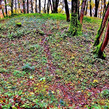 Motte castrale de  La Malatière