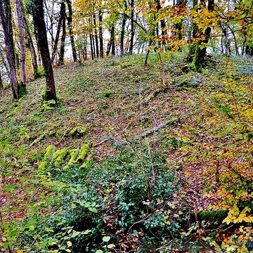 Motte castrale de  La Malatière