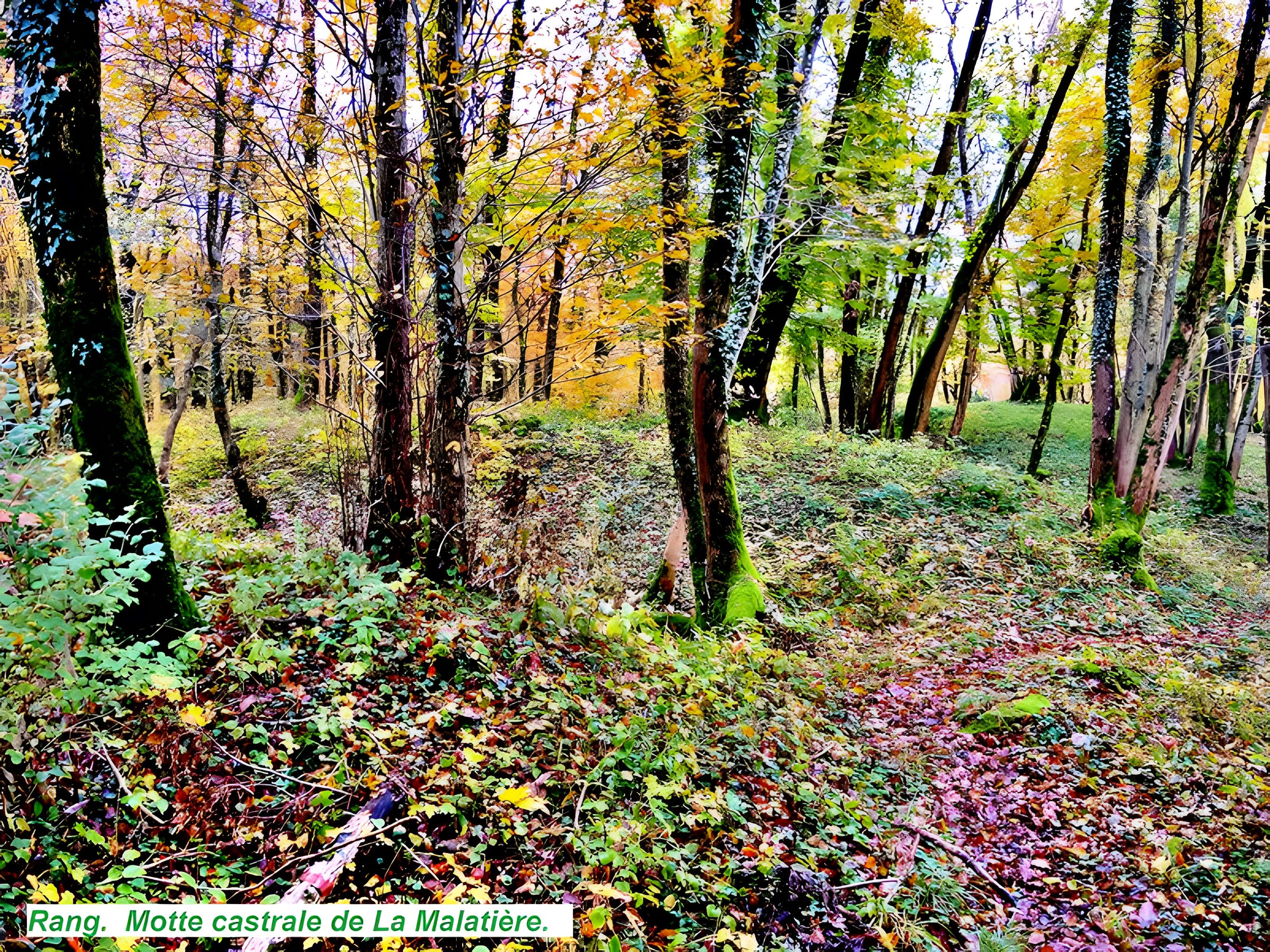 Motte castrale de  La Malatière