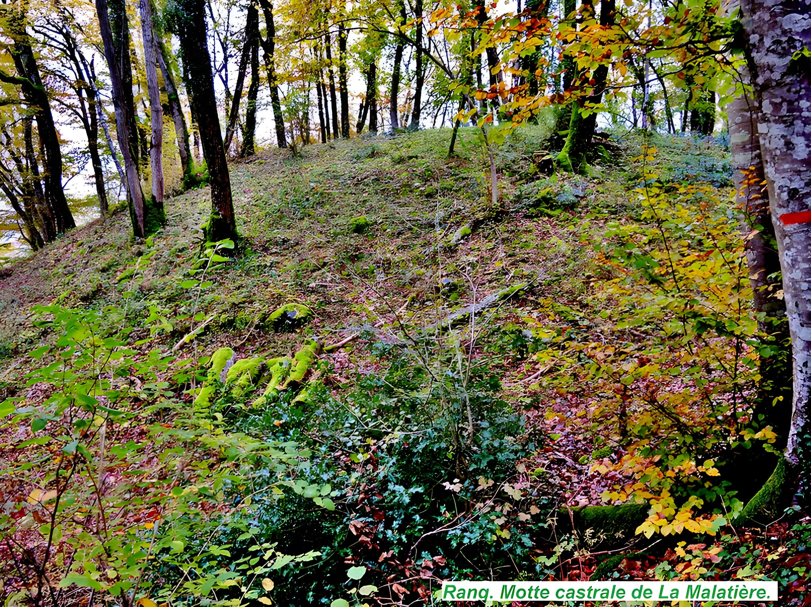 Motte castrale de  La Malatière