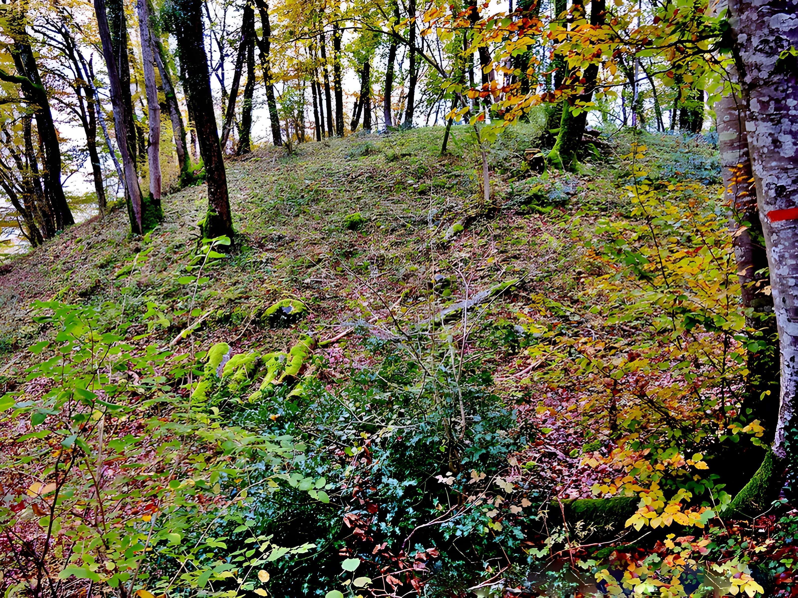 Motte castrale de  La Malatière