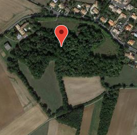 Motte castrale de la Roche-Bertin 