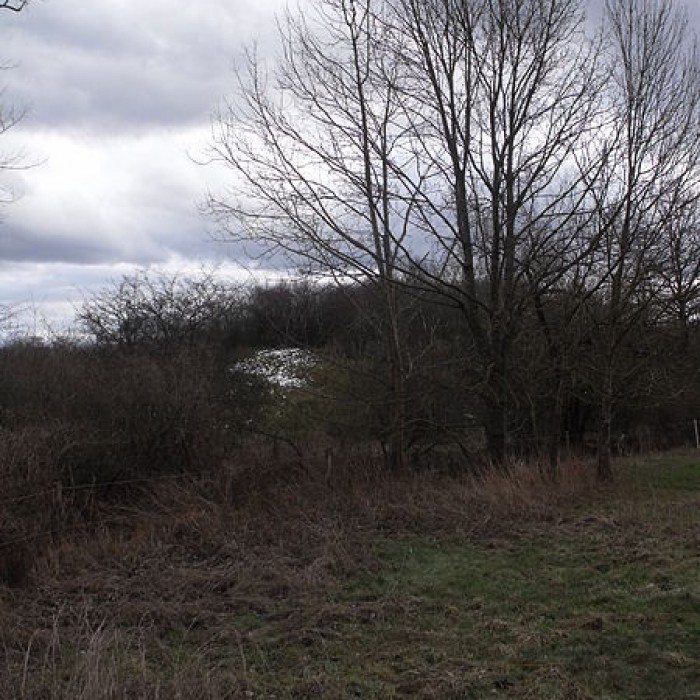 Photo de Motte castrale de Montreux-Château