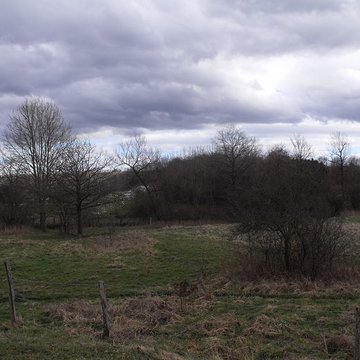 Motte castrale de Montreux-Château