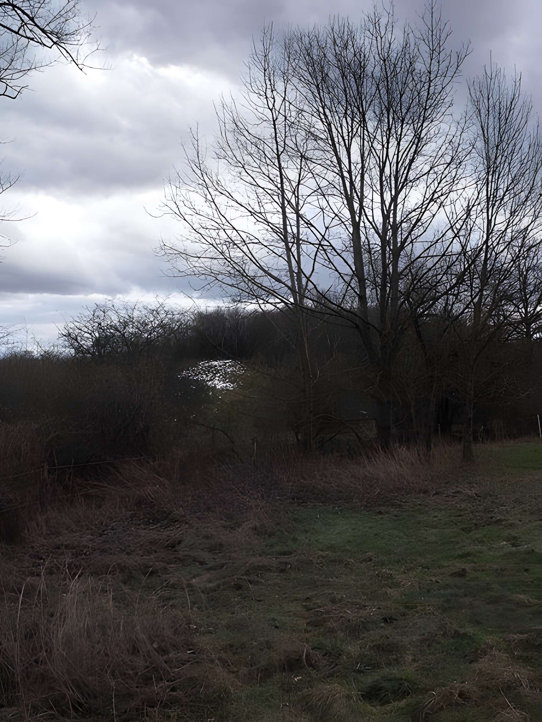 Motte castrale de Montreux-Château 