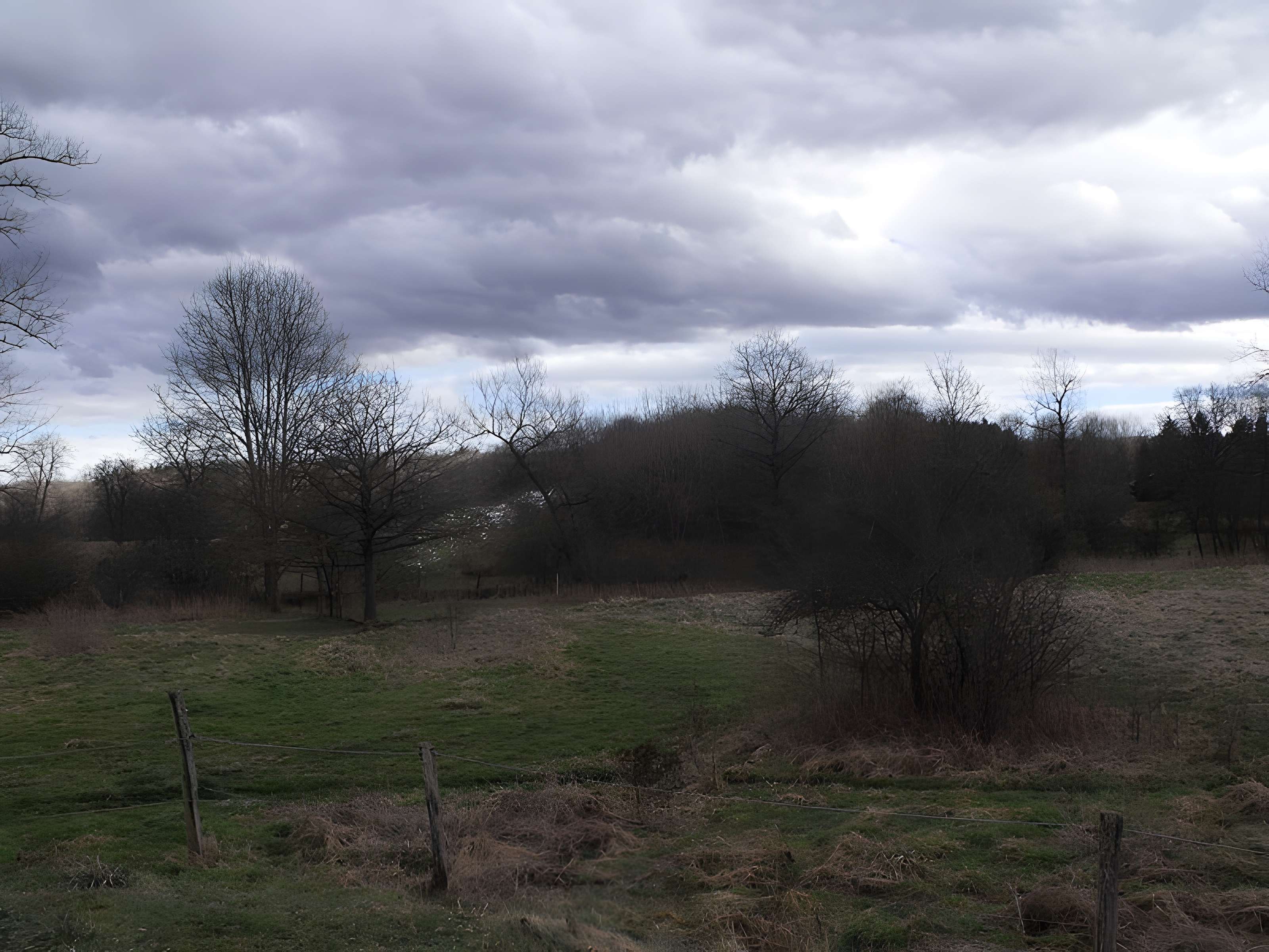 Motte castrale de Montreux-Château