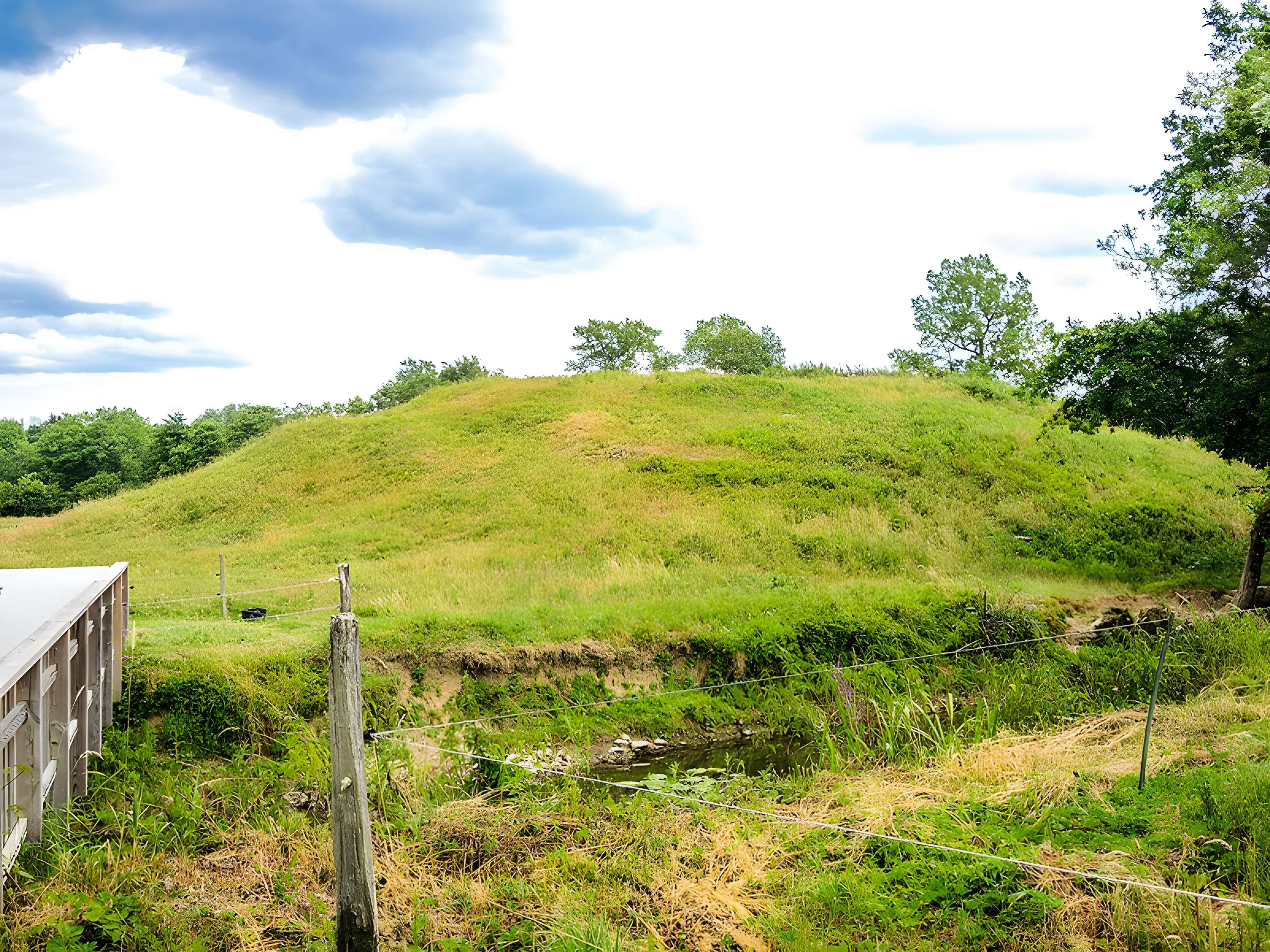 Motte castrale de Montreux-Château