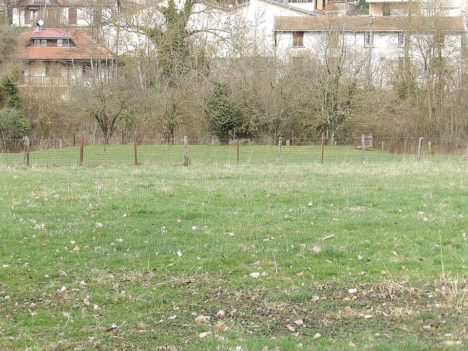 Motte castrale de Richardménil