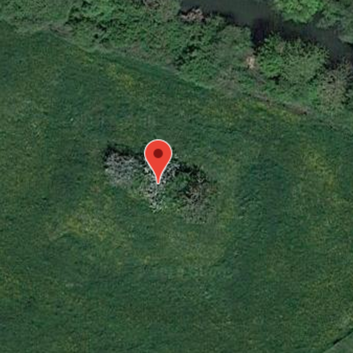 Photo de Motte castrale de Richardménil