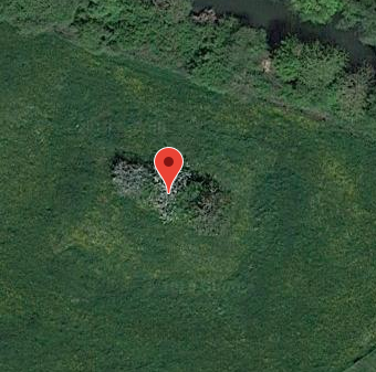 Motte castrale de Richardménil 