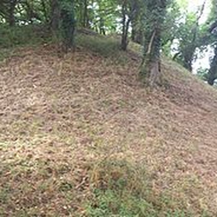 Photo de Motte castrale de Rospellem