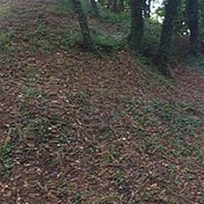 Photo de Motte castrale de Rospellem