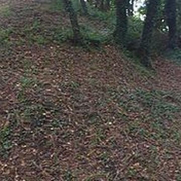 Motte castrale de Rospellem