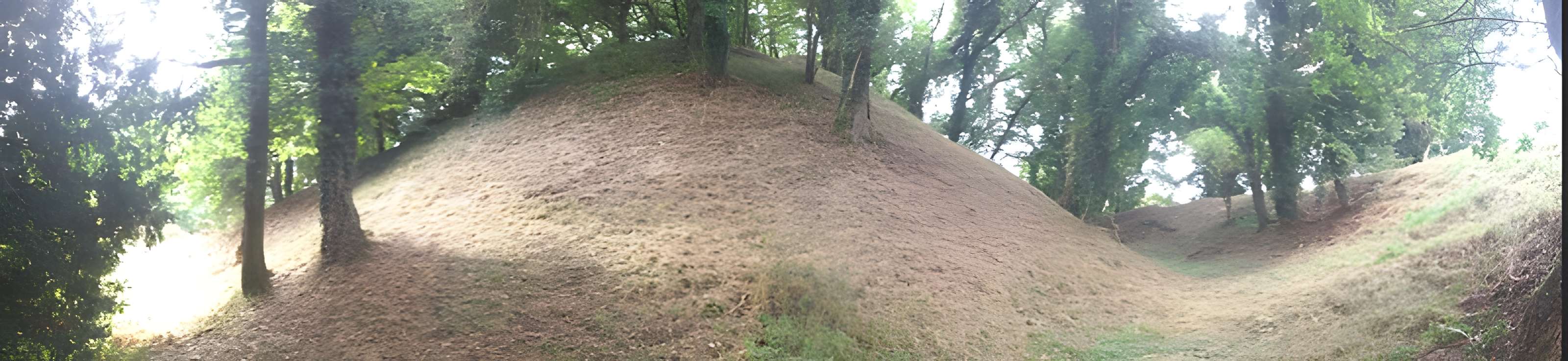 Motte castrale de Rospellem