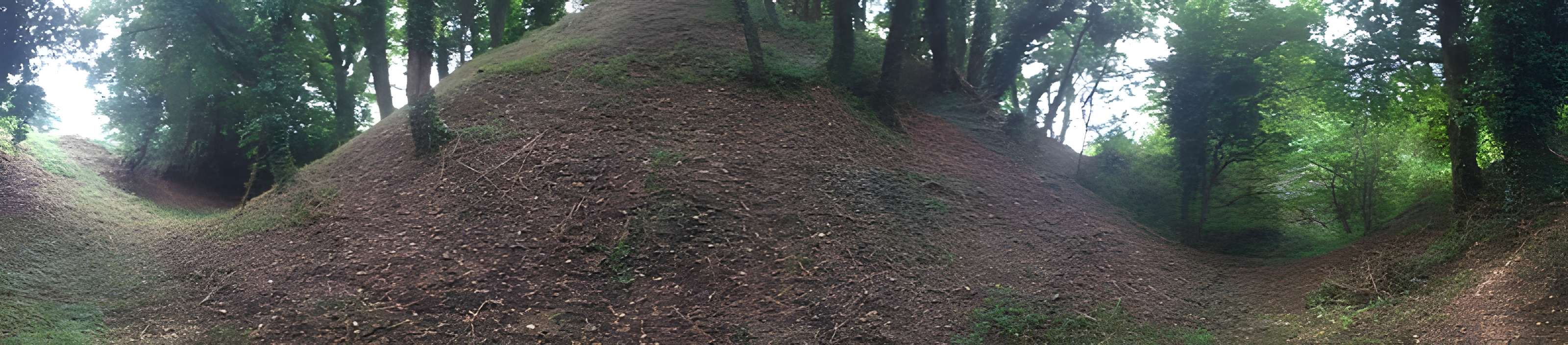 Motte castrale de Rospellem