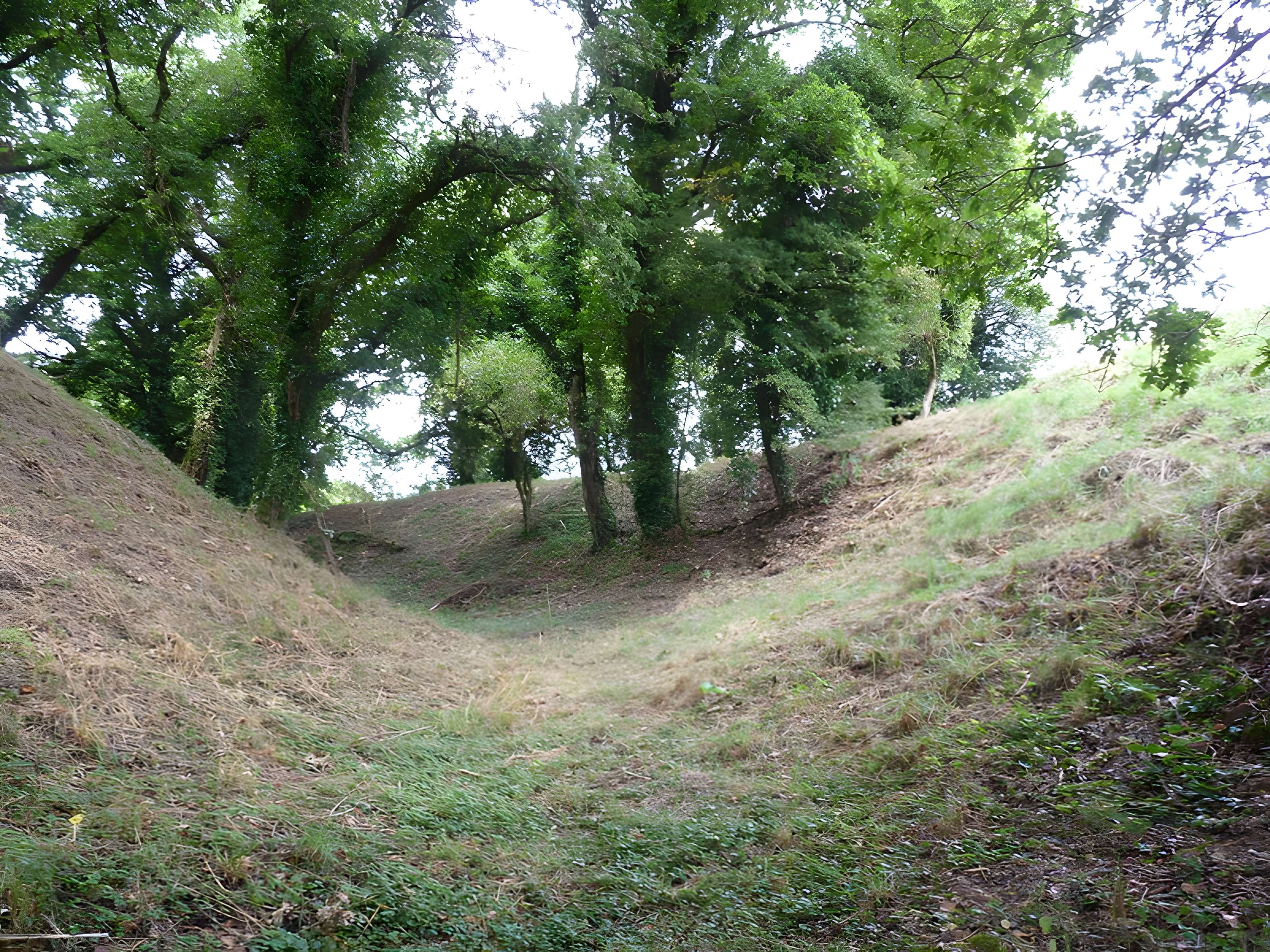 Motte castrale de Rospellem 