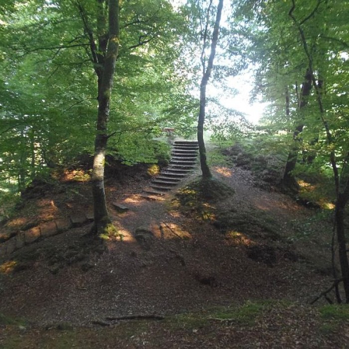 Photo de Motte castrale de Saint-Sever-Calvados