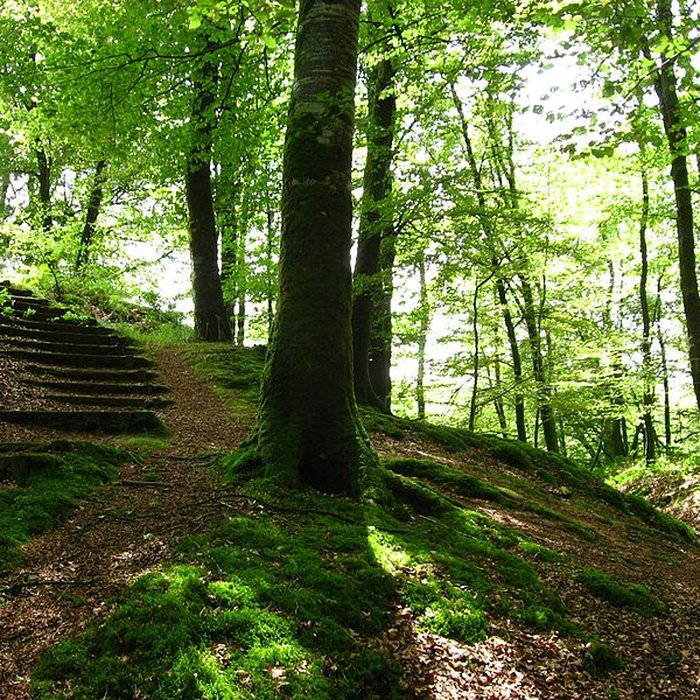 Photo de Motte castrale de Saint-Sever-Calvados
