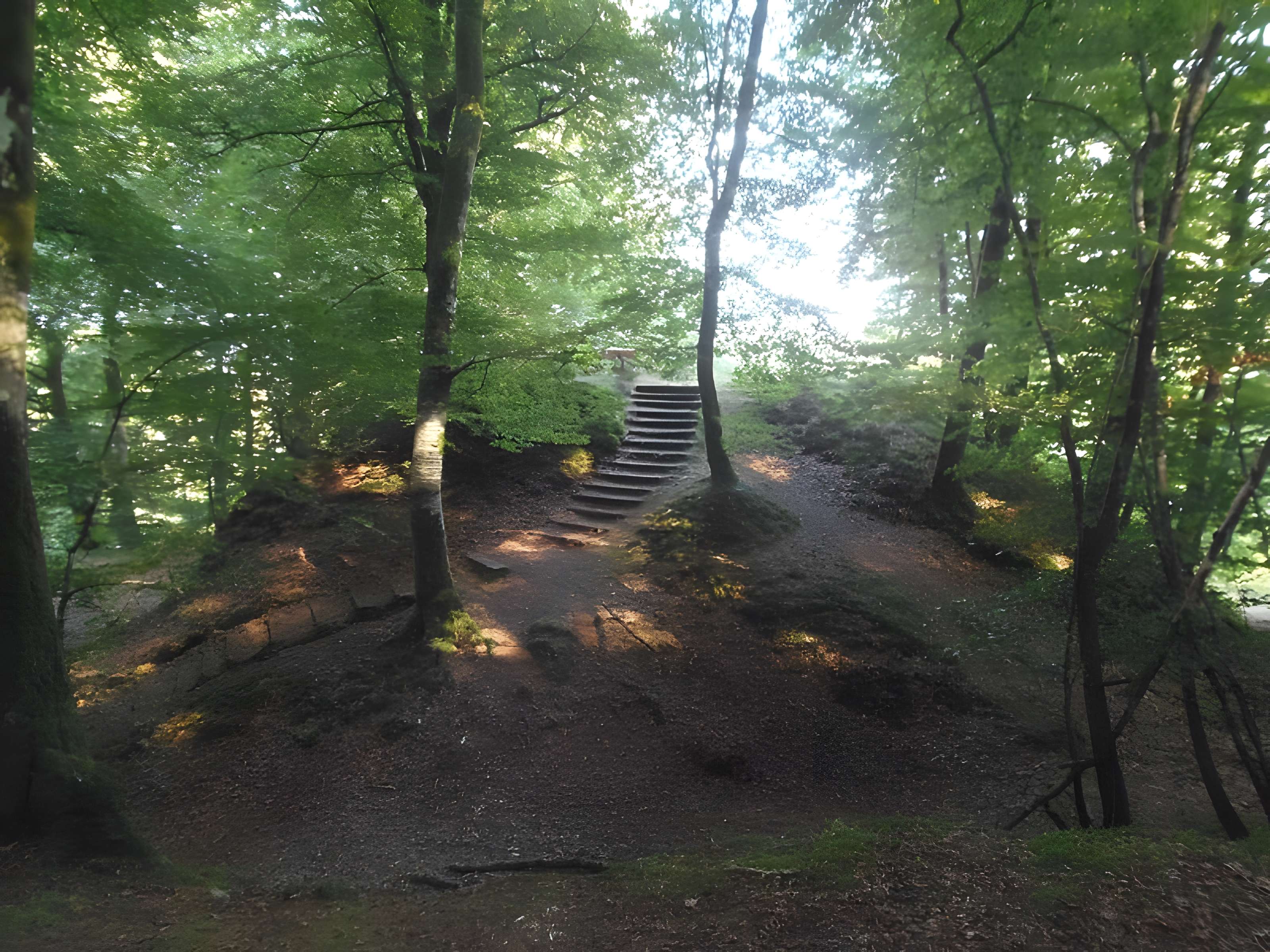 Motte castrale de Saint-Sever-Calvados 