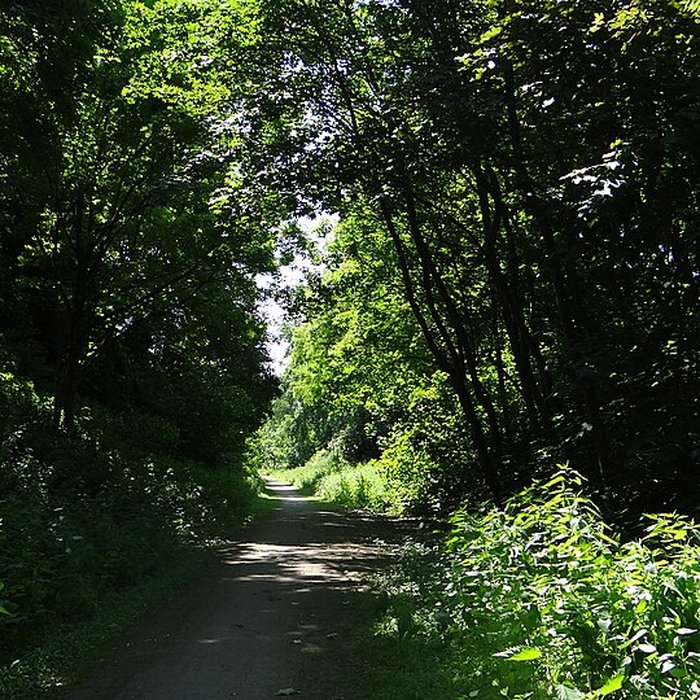 Photo de Motte castrale dÉmerchicourt