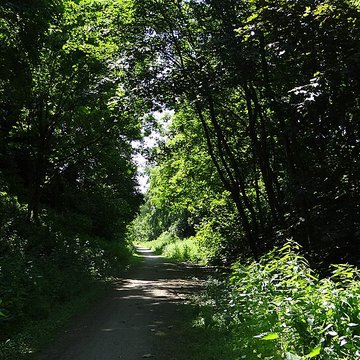 Motte castrale dÉmerchicourt