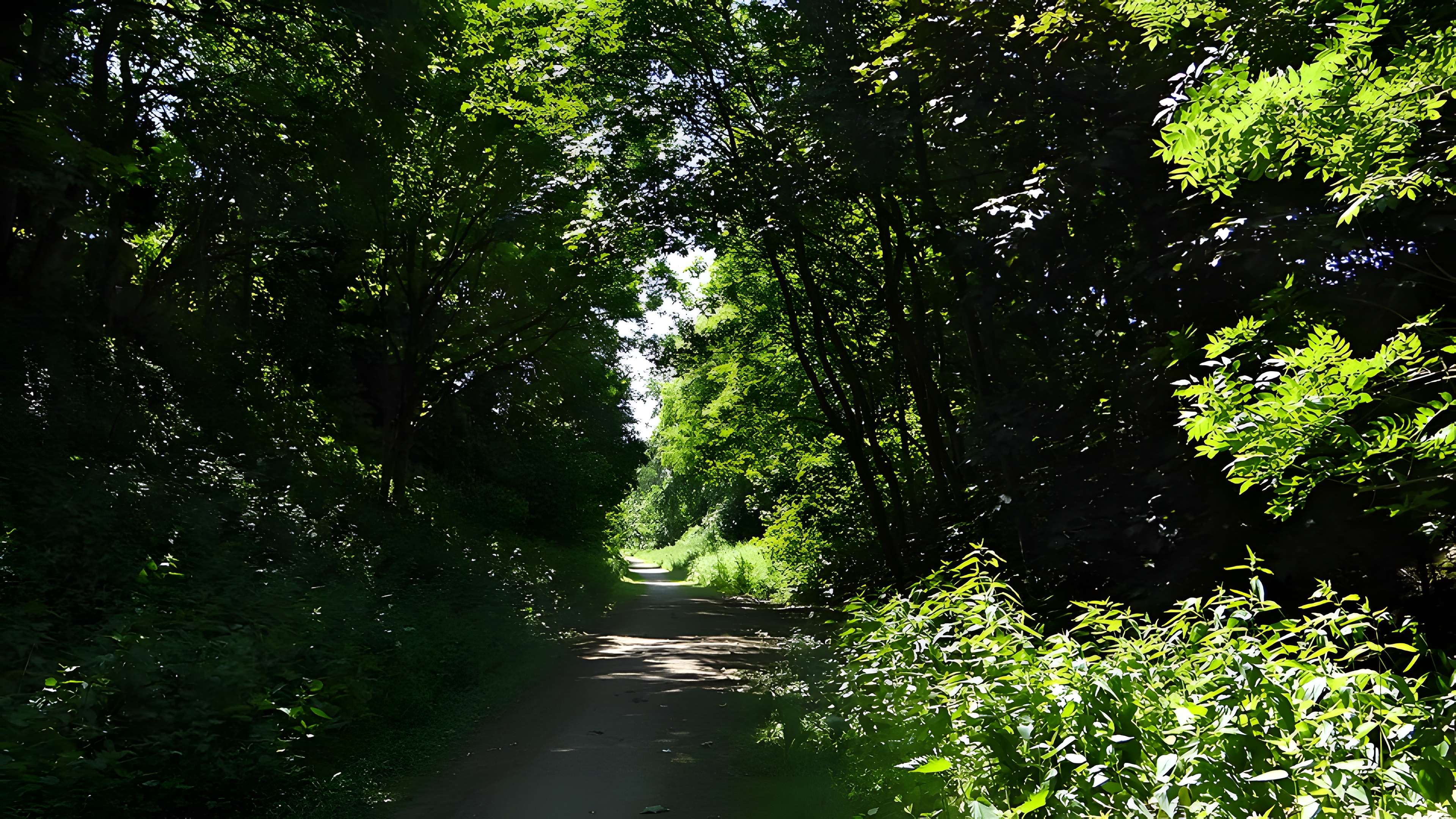 Motte castrale d'Émerchicourt